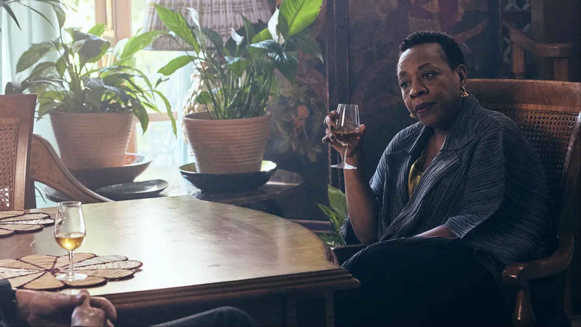 The Following Events Are Based on a Pack of Lies background