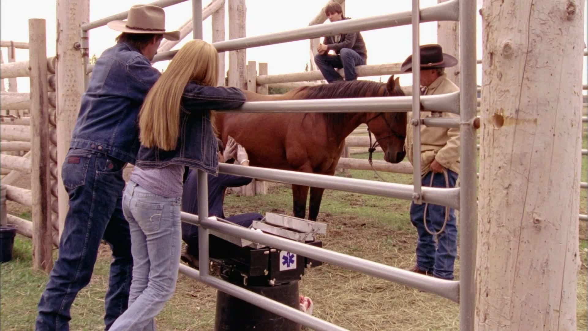 Heartland background