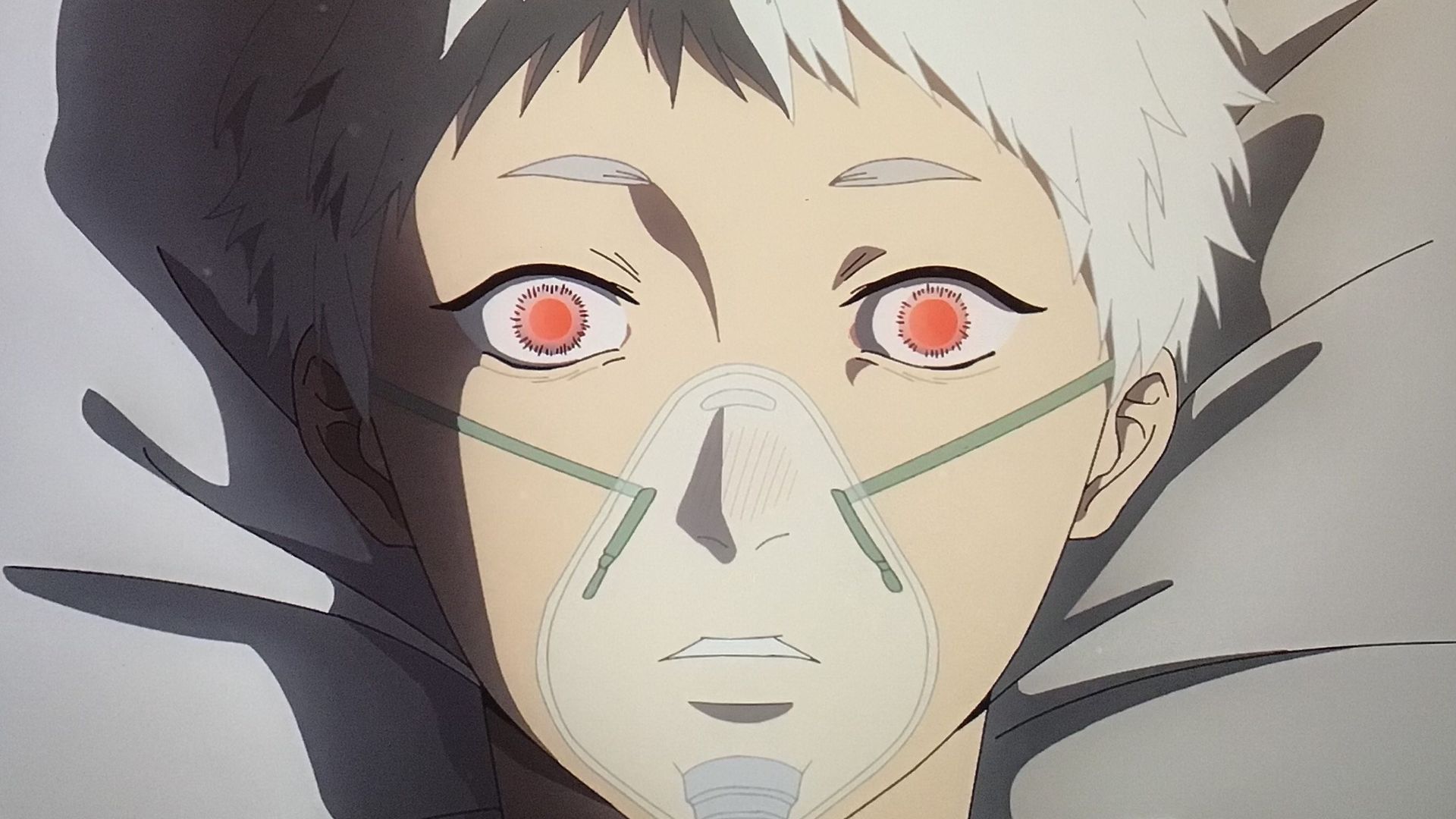 The Summer Hikaru Died background