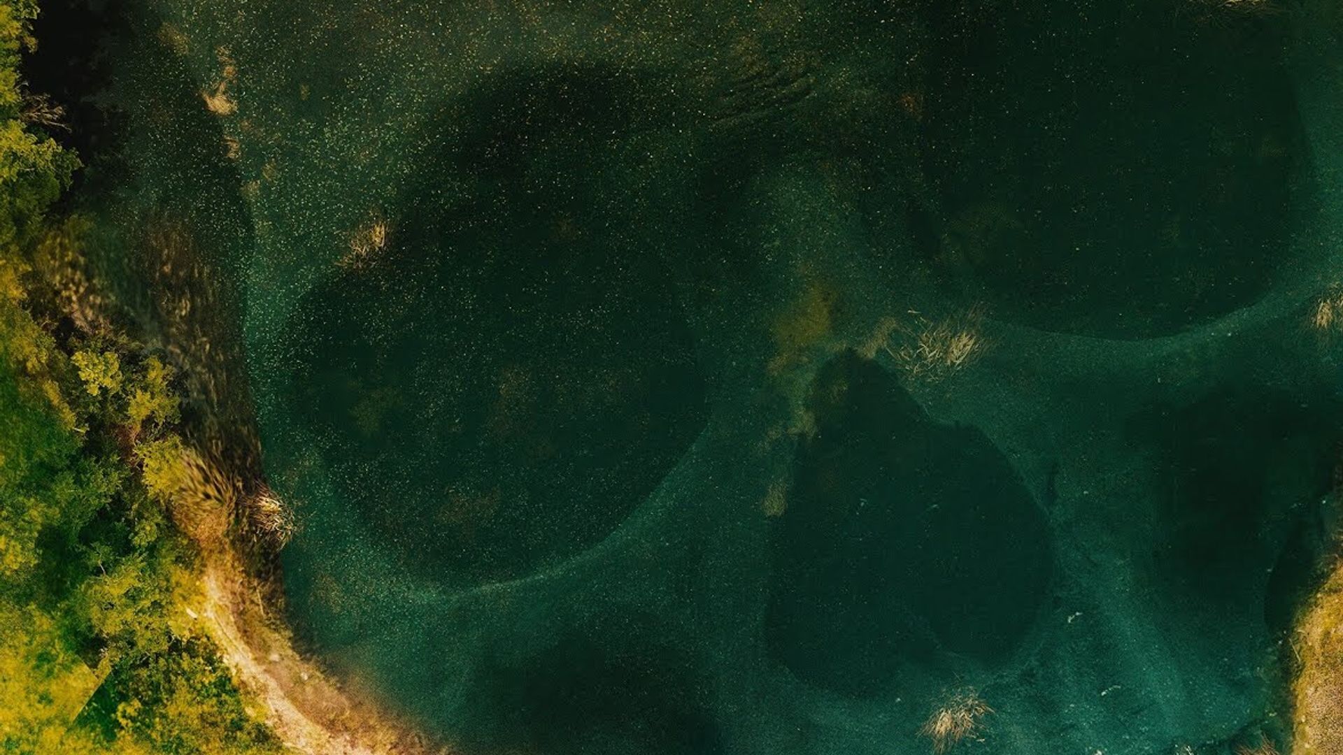 Floribama Murders background