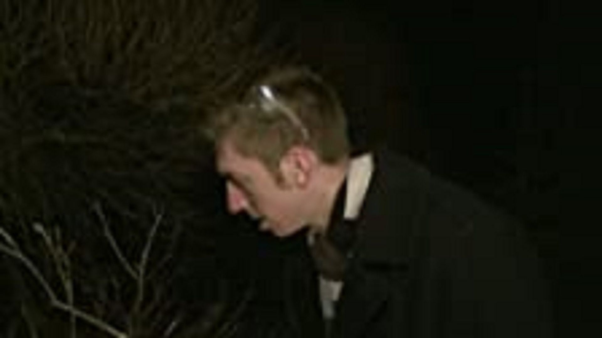 Freak Encounters background