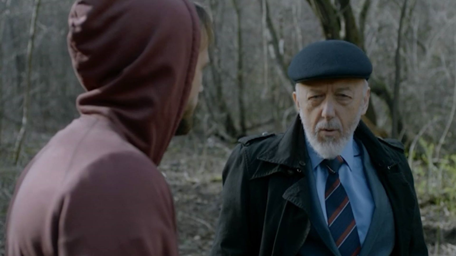 Stolen Life background