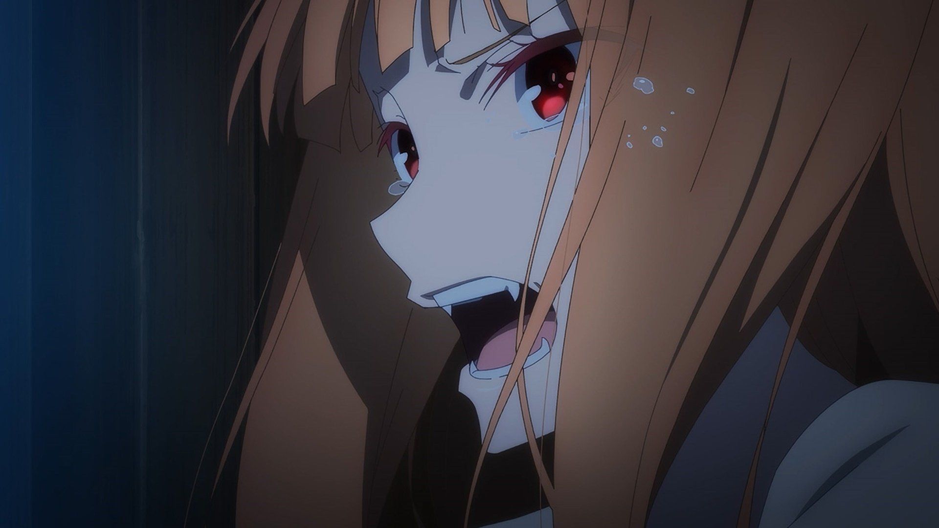Spice and Wolf: Merchant Meets the Wise Wolf background