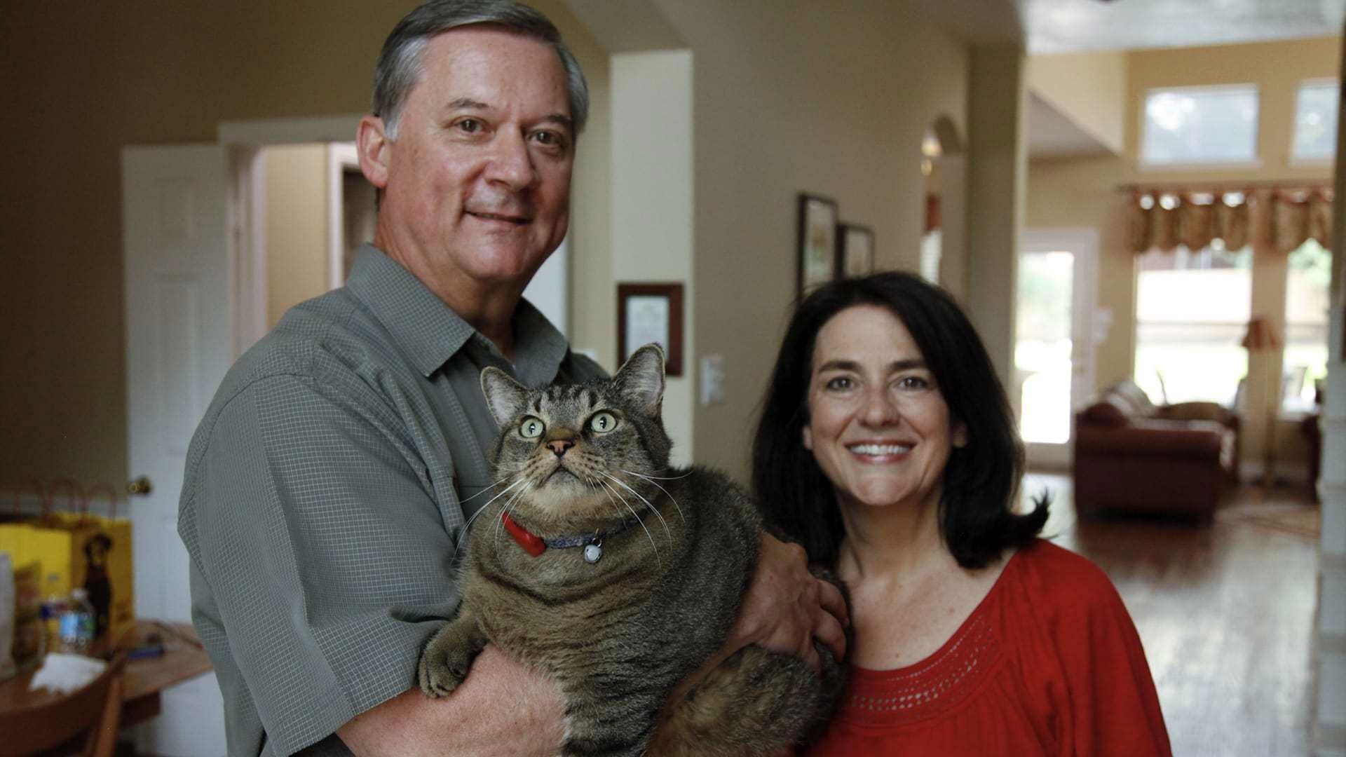 My Big Fat Pet Makeover background