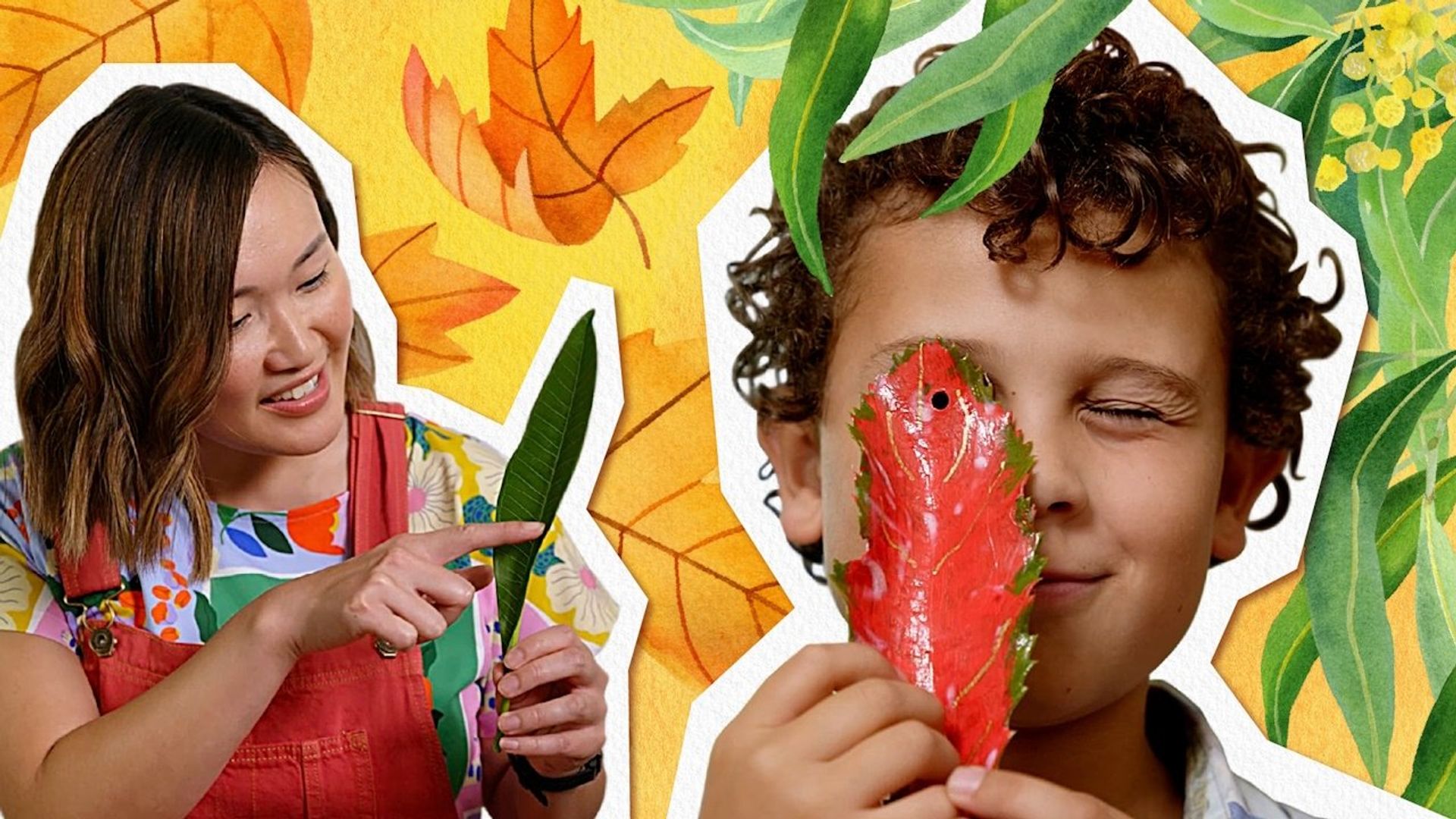 Gardening Australia Junior background