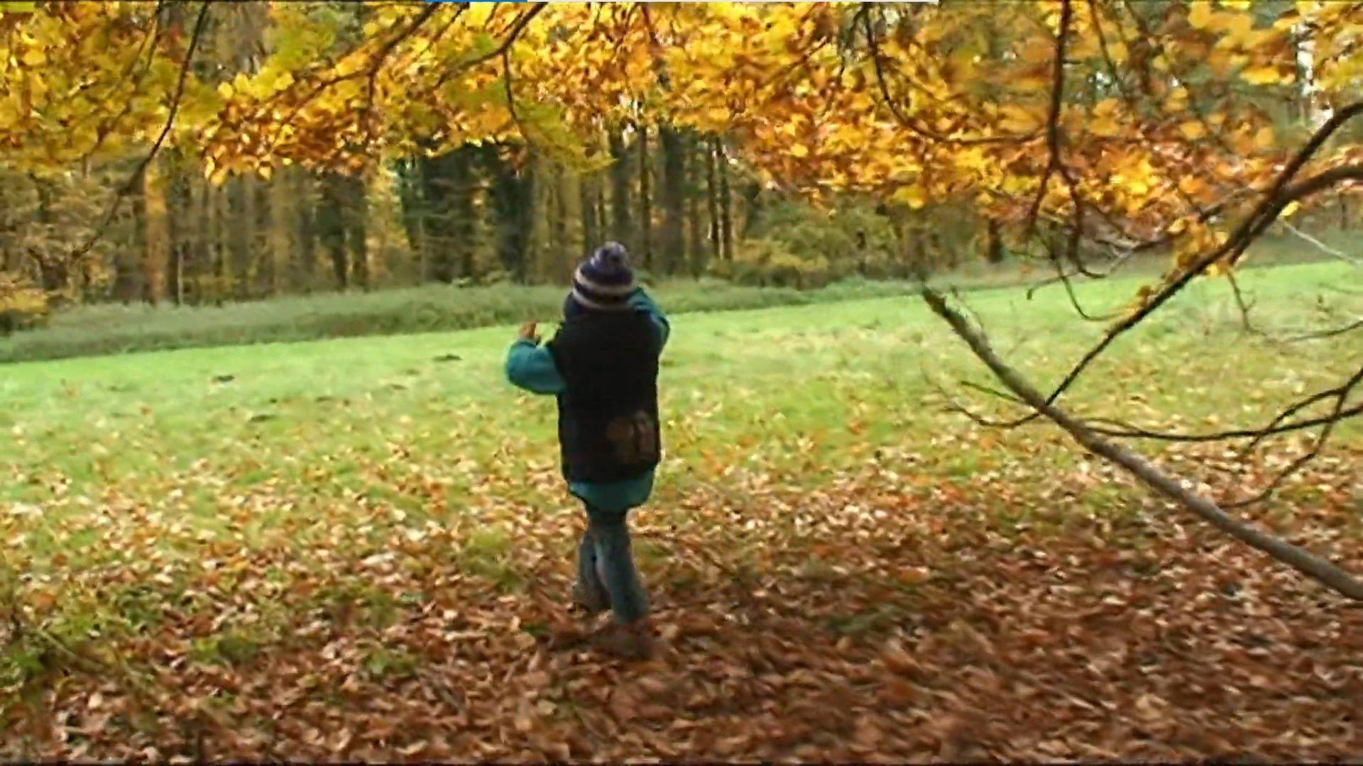 Die Sendung mit dem Elefanten background