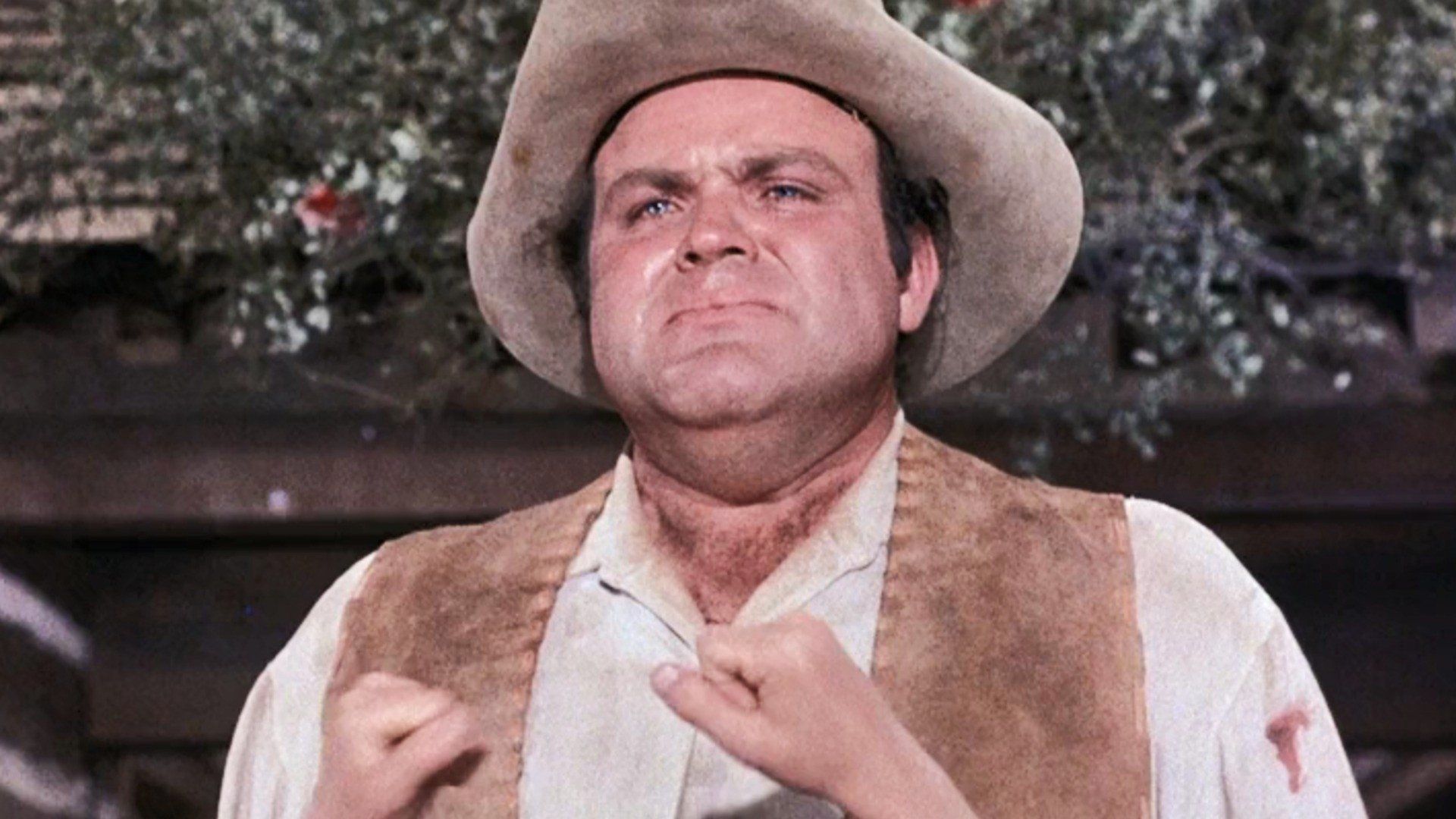 Bonanza background