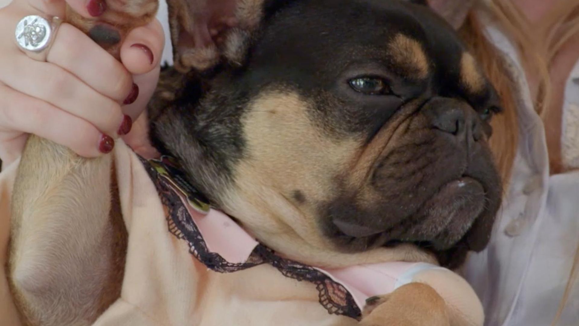 Leave it to Geege background