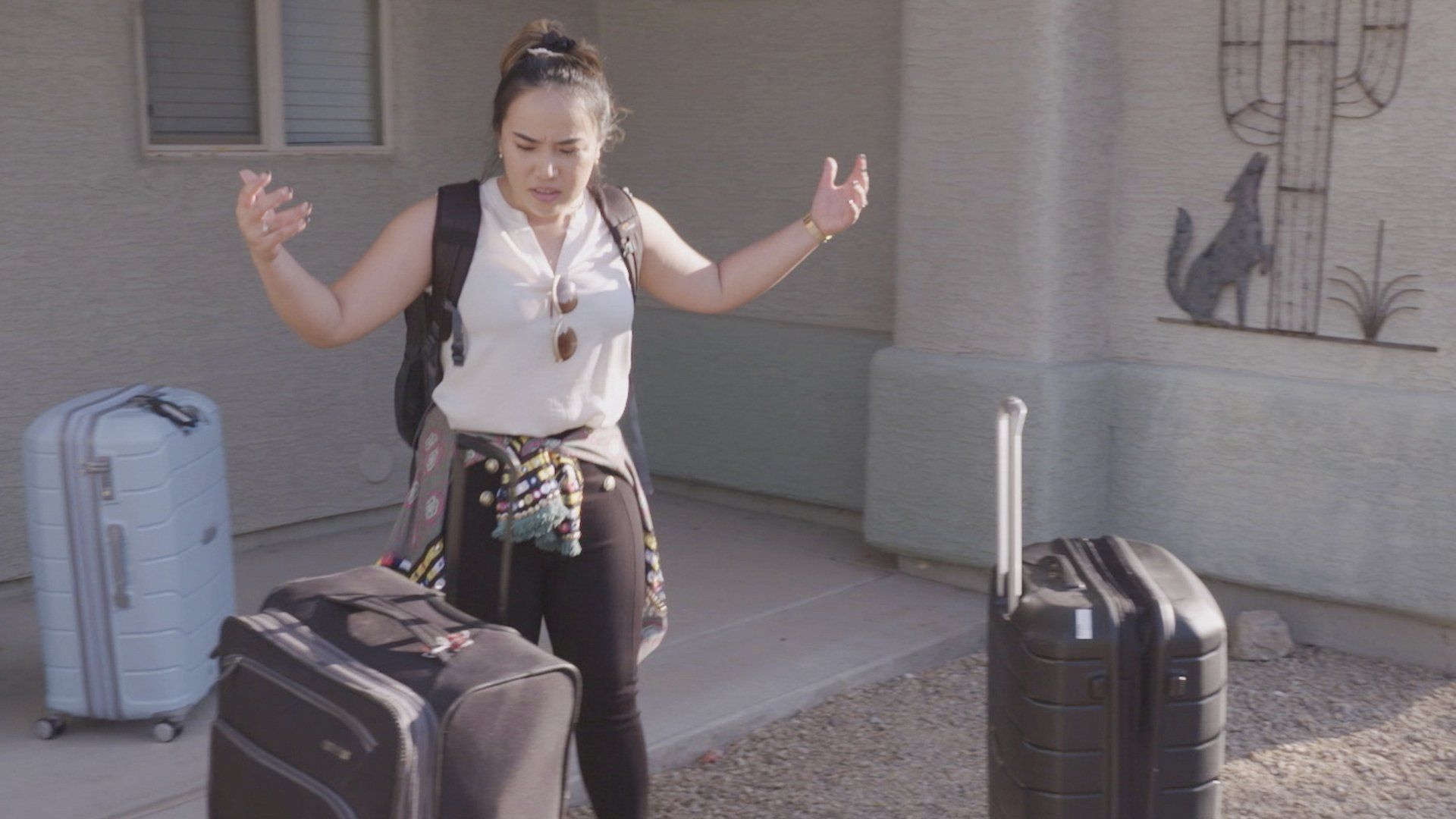 David & Annie: After the 90 Days background