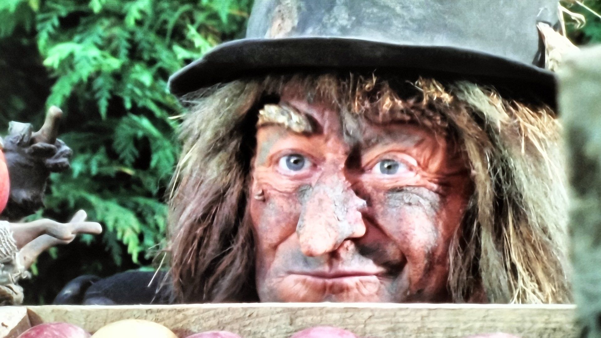 Worzel Gummidge Down Under background