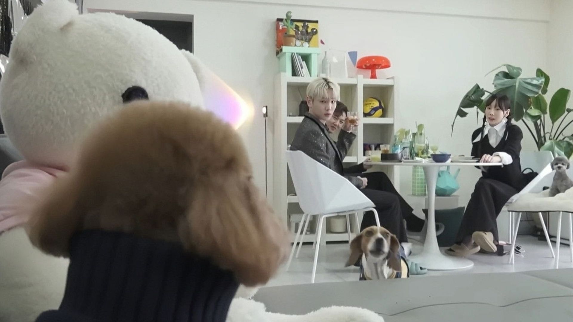 I Live Alone background