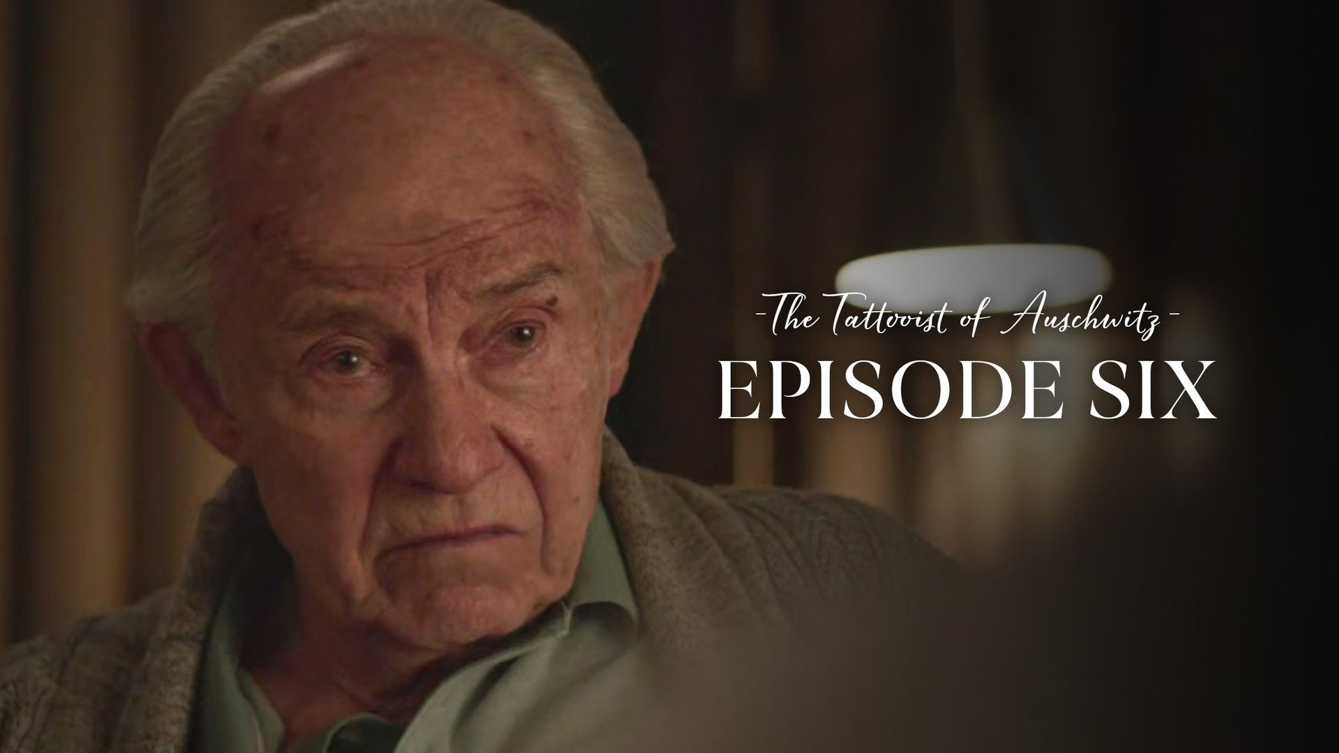 The Tattooist of Auschwitz background