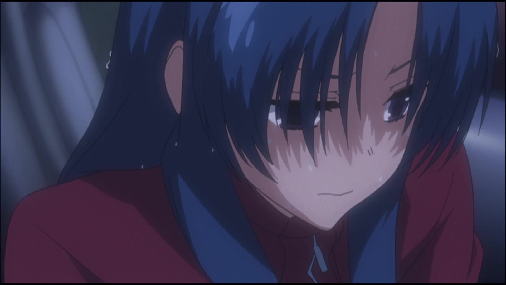 Toradora! background