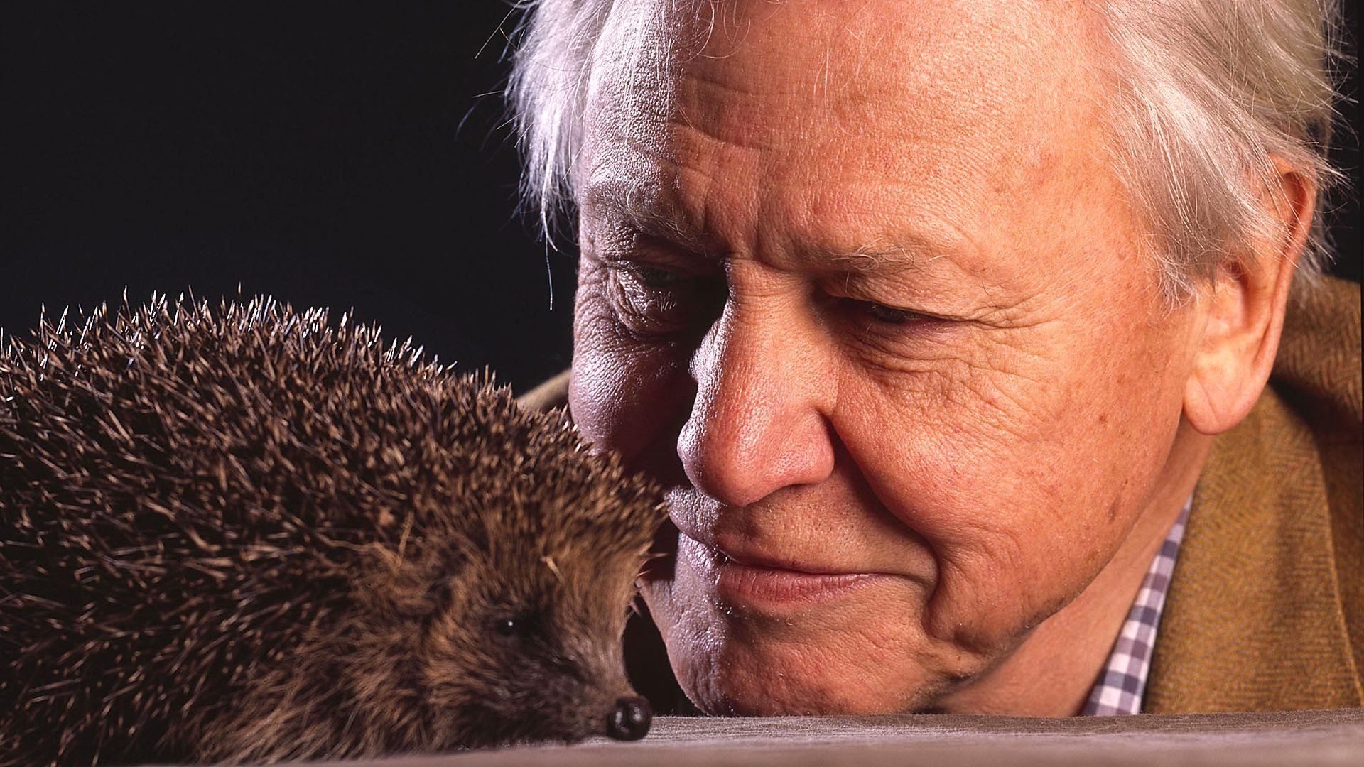 The Life of Mammals background