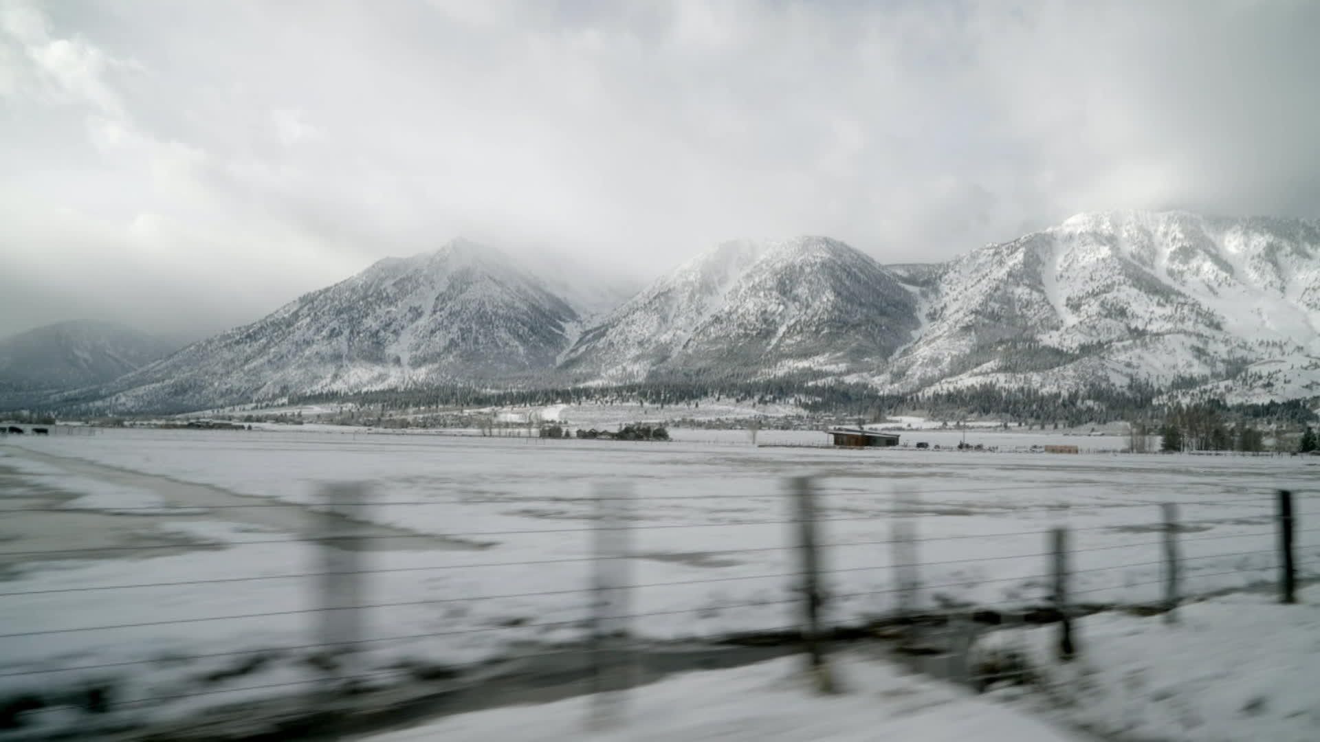 Stone Cold Takes on America background