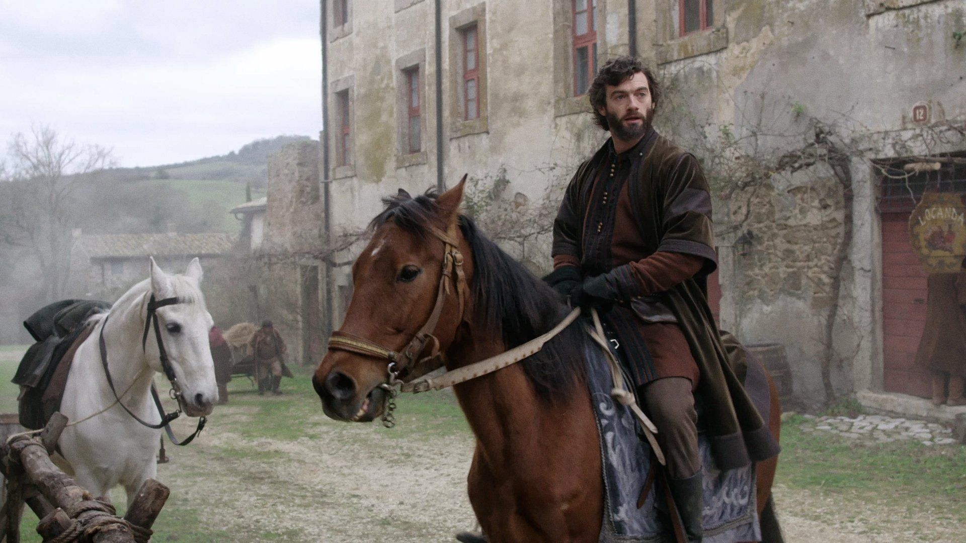 Medici background