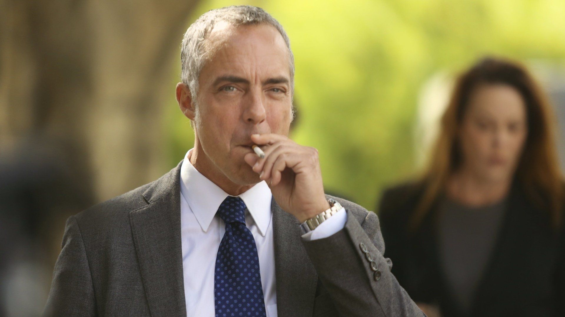 Bosch background