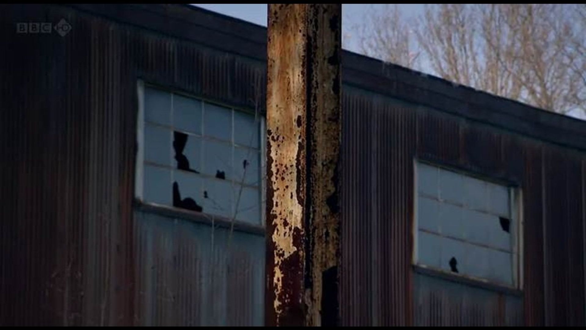 The Chinese are Coming background