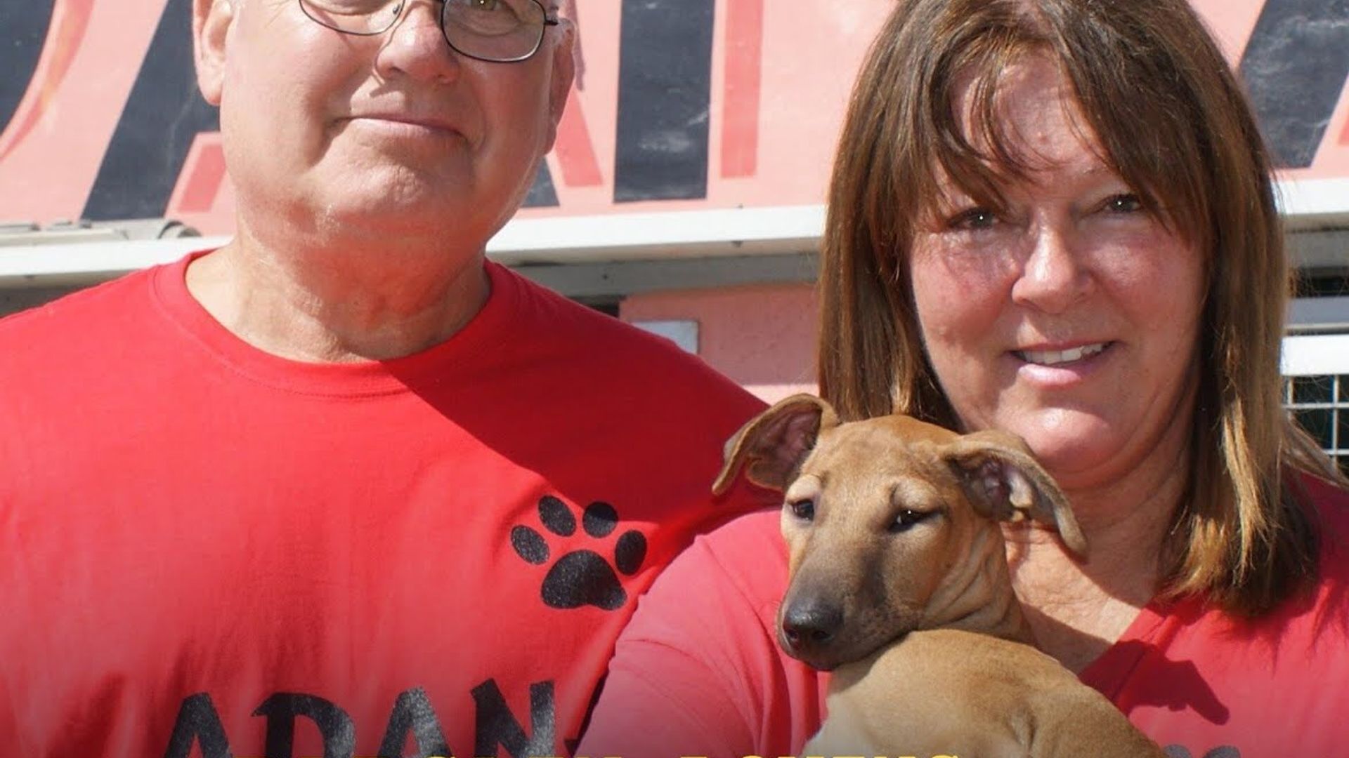 Bargain-Loving Brits in the Sun background