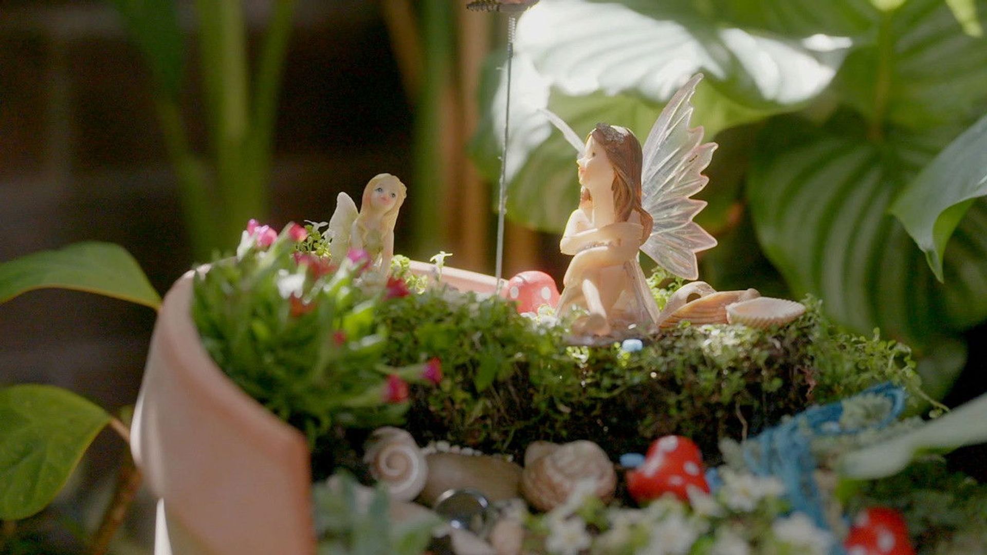 Gardening Australia Junior background