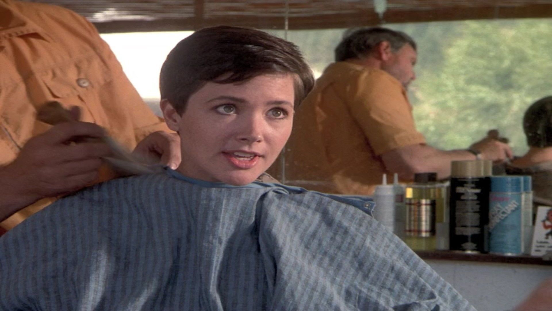 Northern Exposure background