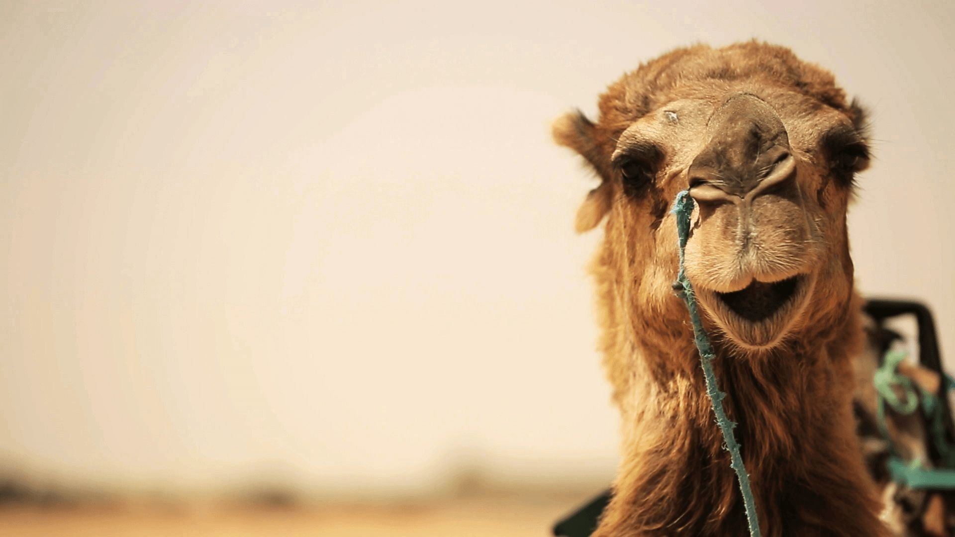 Destination World background