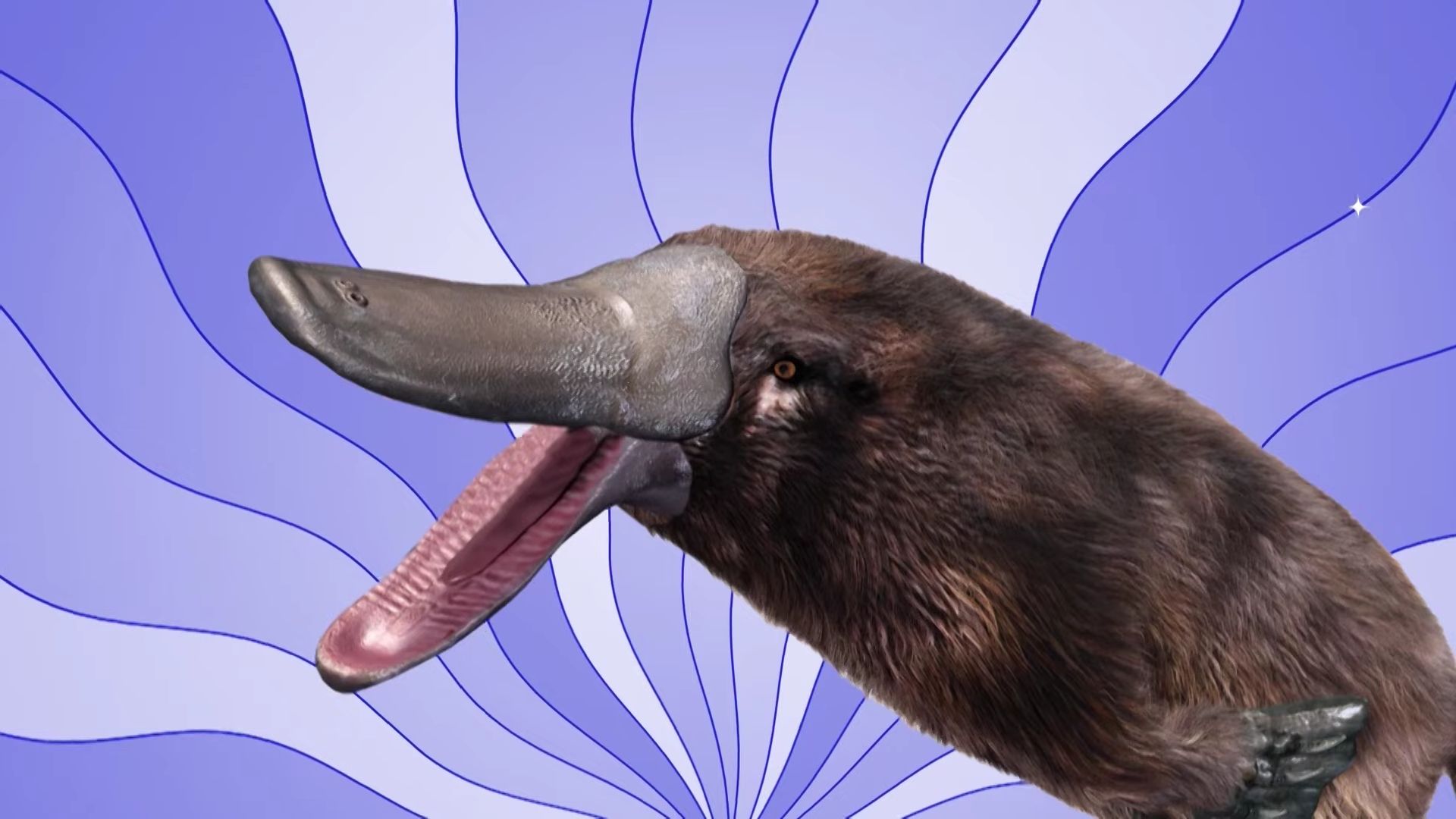 Late Night with Seth Meyers: Corrections" background