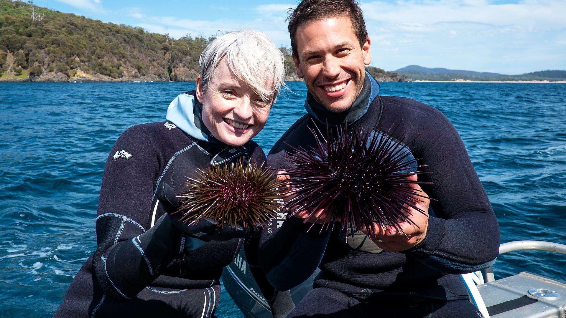 Coast Australia background