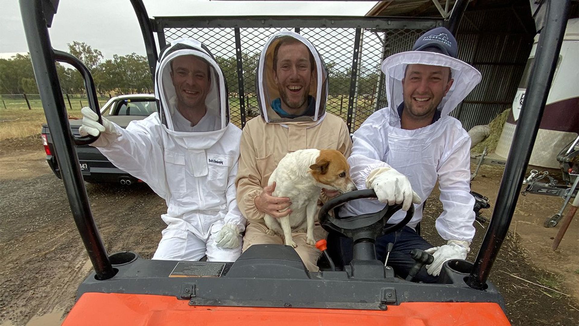 Scottish Vets Down Under background