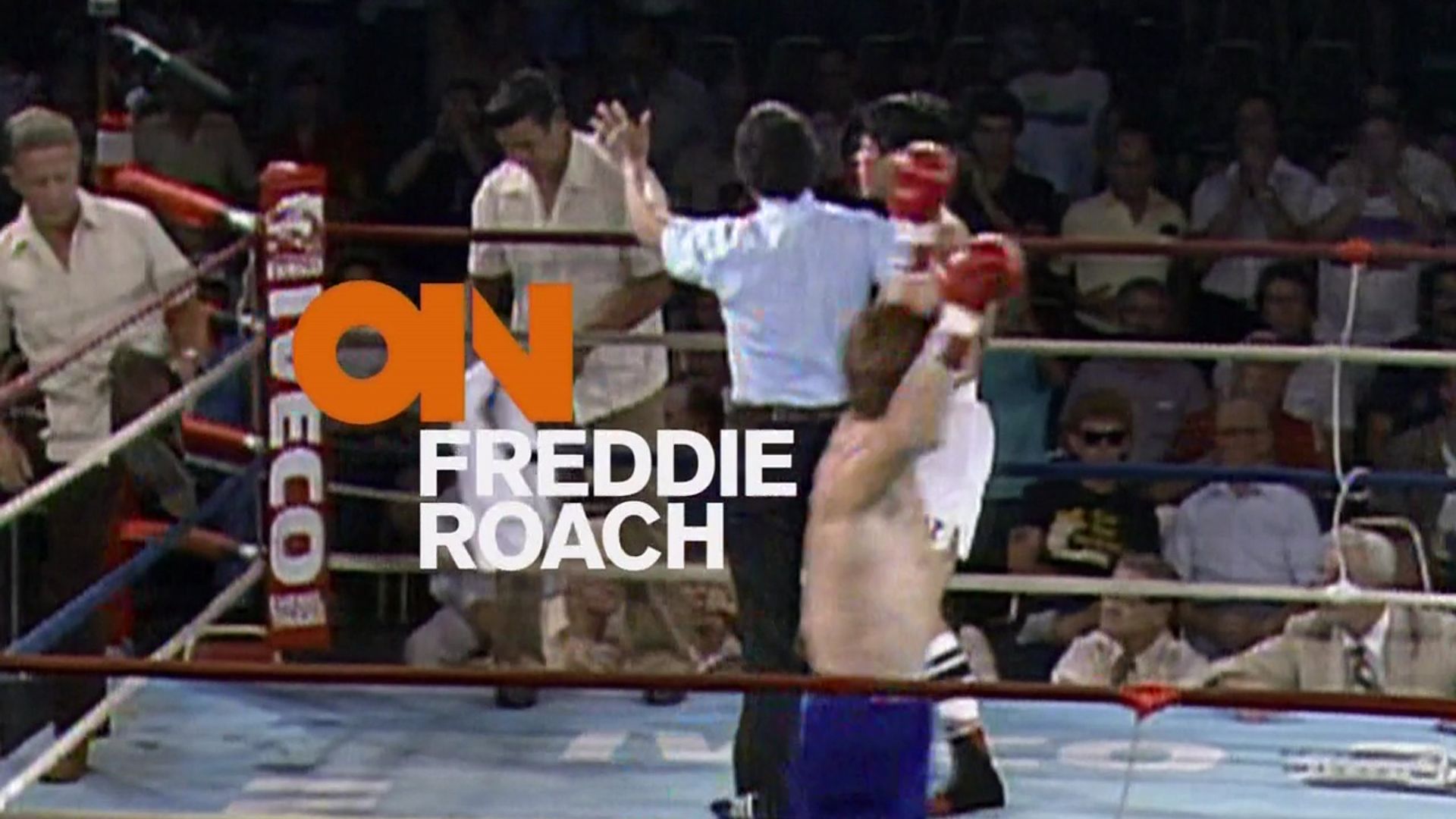 On Freddie Roach background