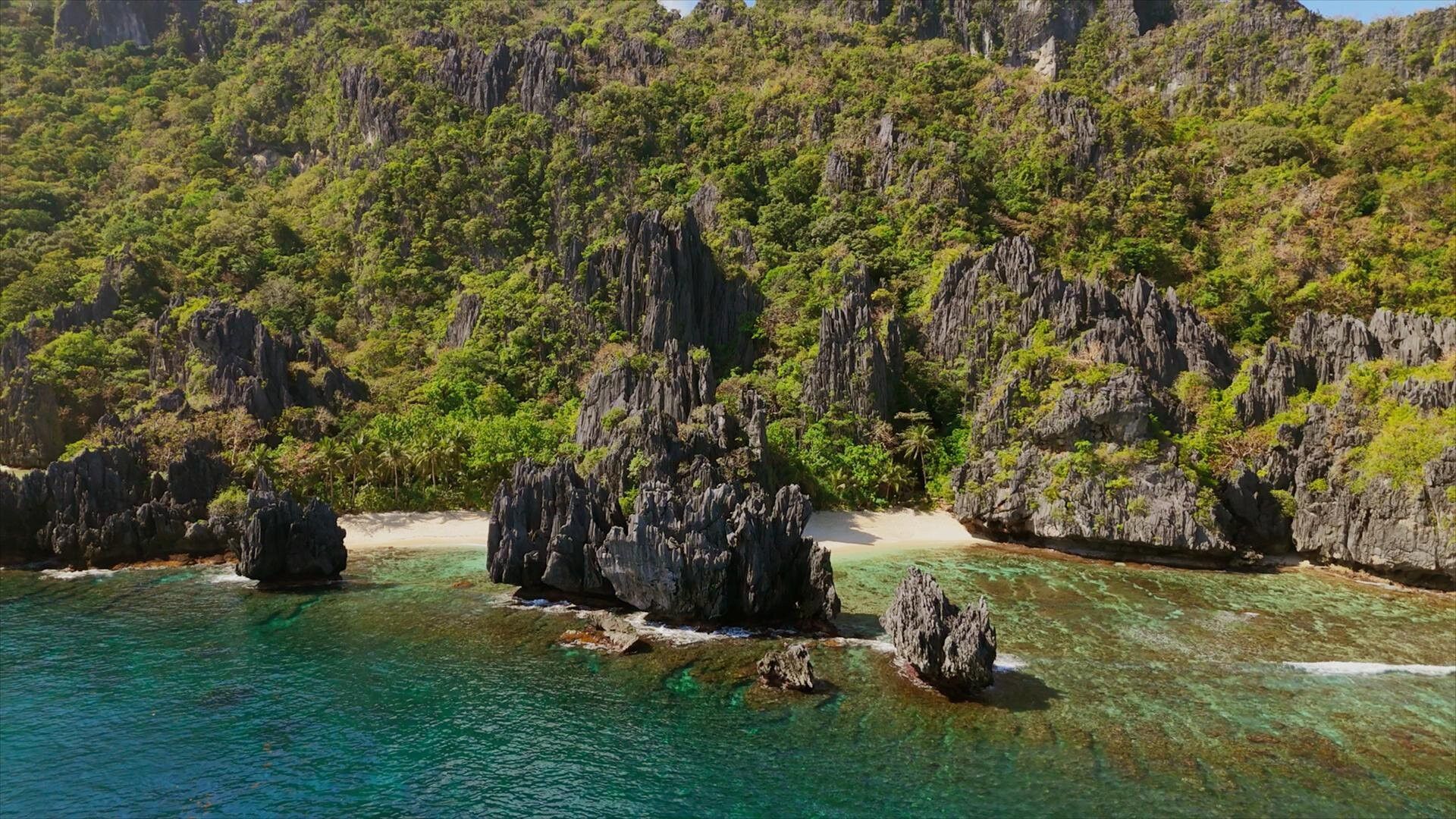 Expedition: Robinson background