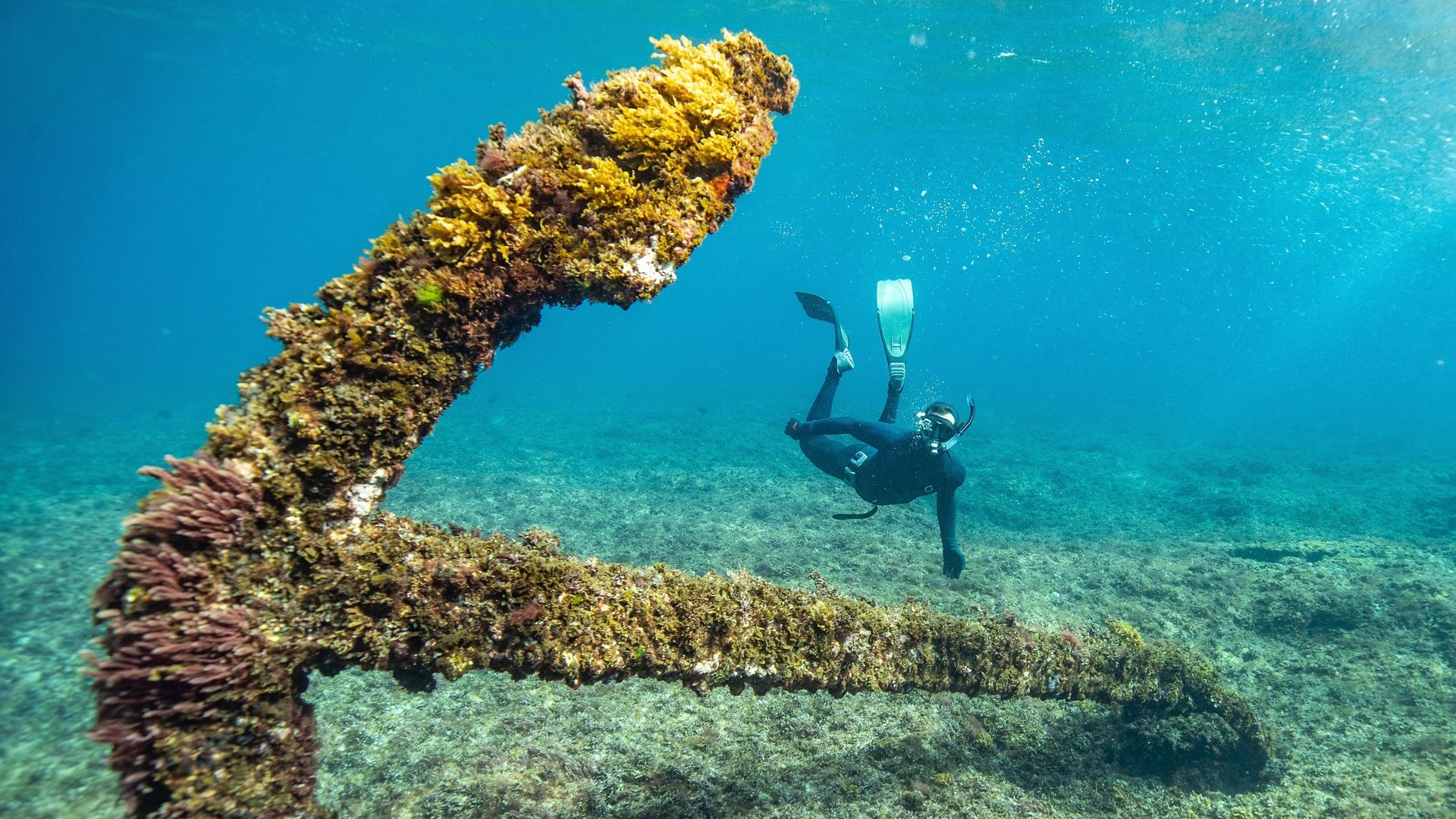 Shipwreck Hunters Australia background