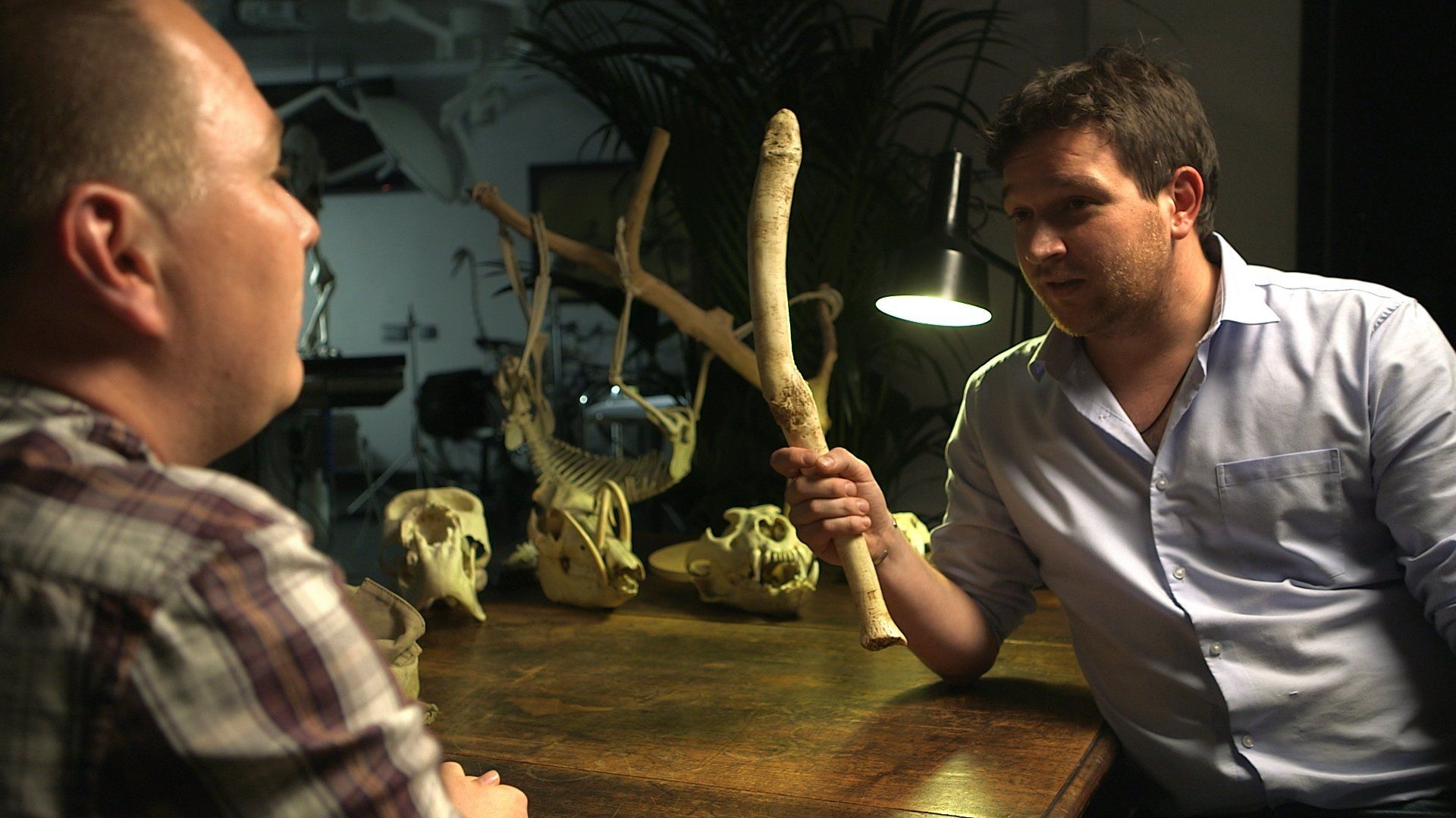 Secrets of Bones background