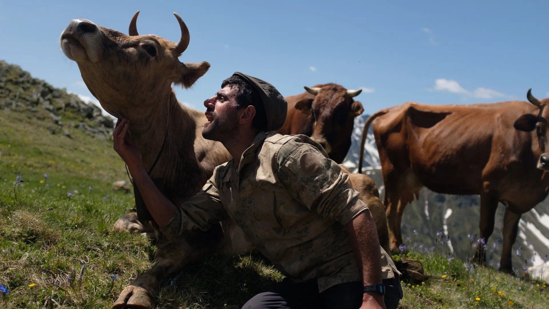 360° - Die GEO-Reportage background