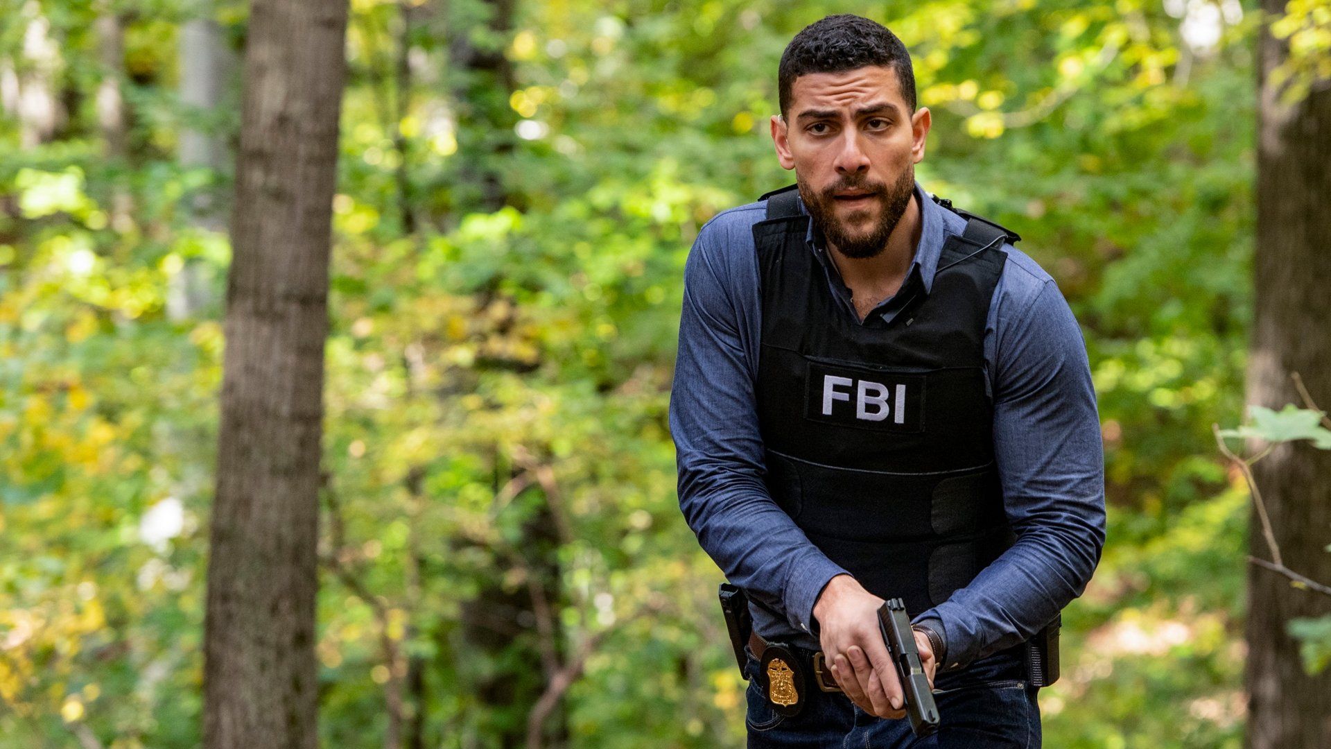FBI background