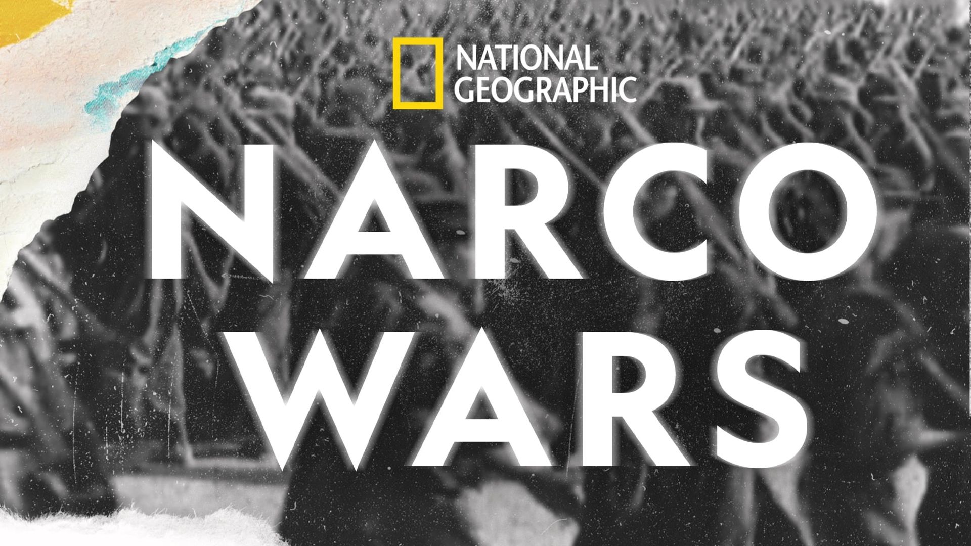 Narco Wars background