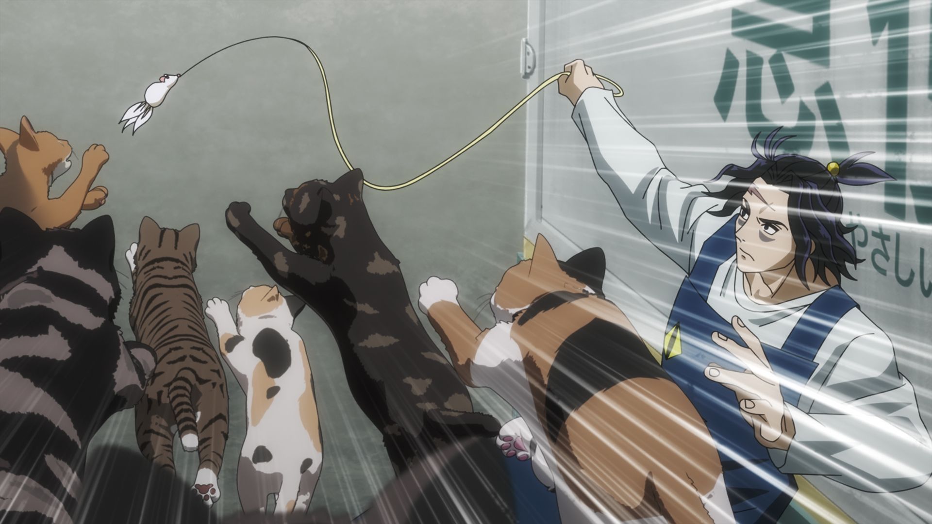 Nyaight of the Living Cat background