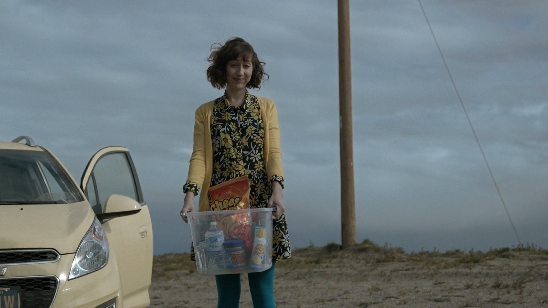 The Last Man on Earth background