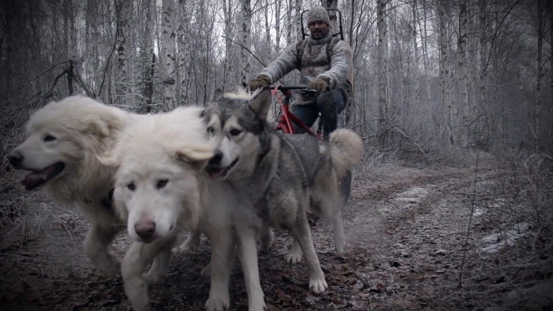 Life Below Zero: Next Generation background