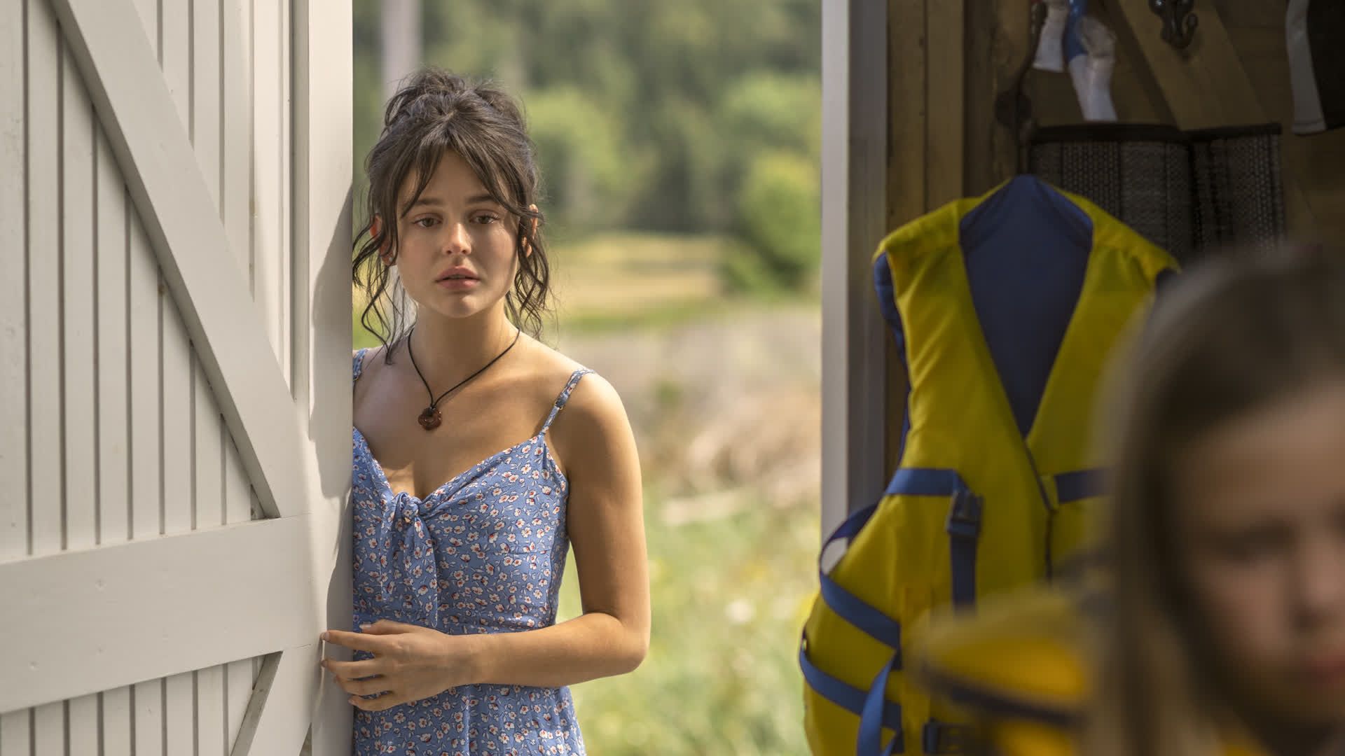 We Were Liars background