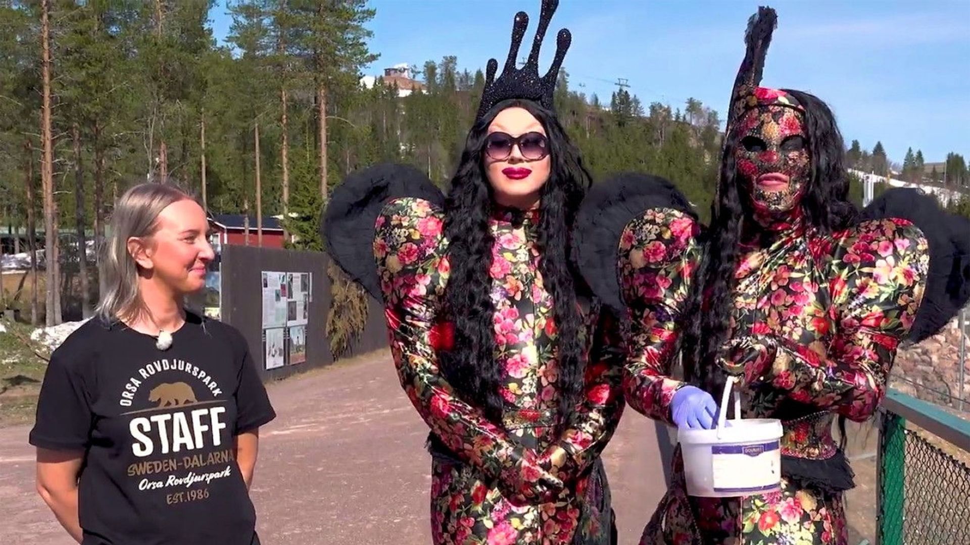 The Villbergs Chronicles background