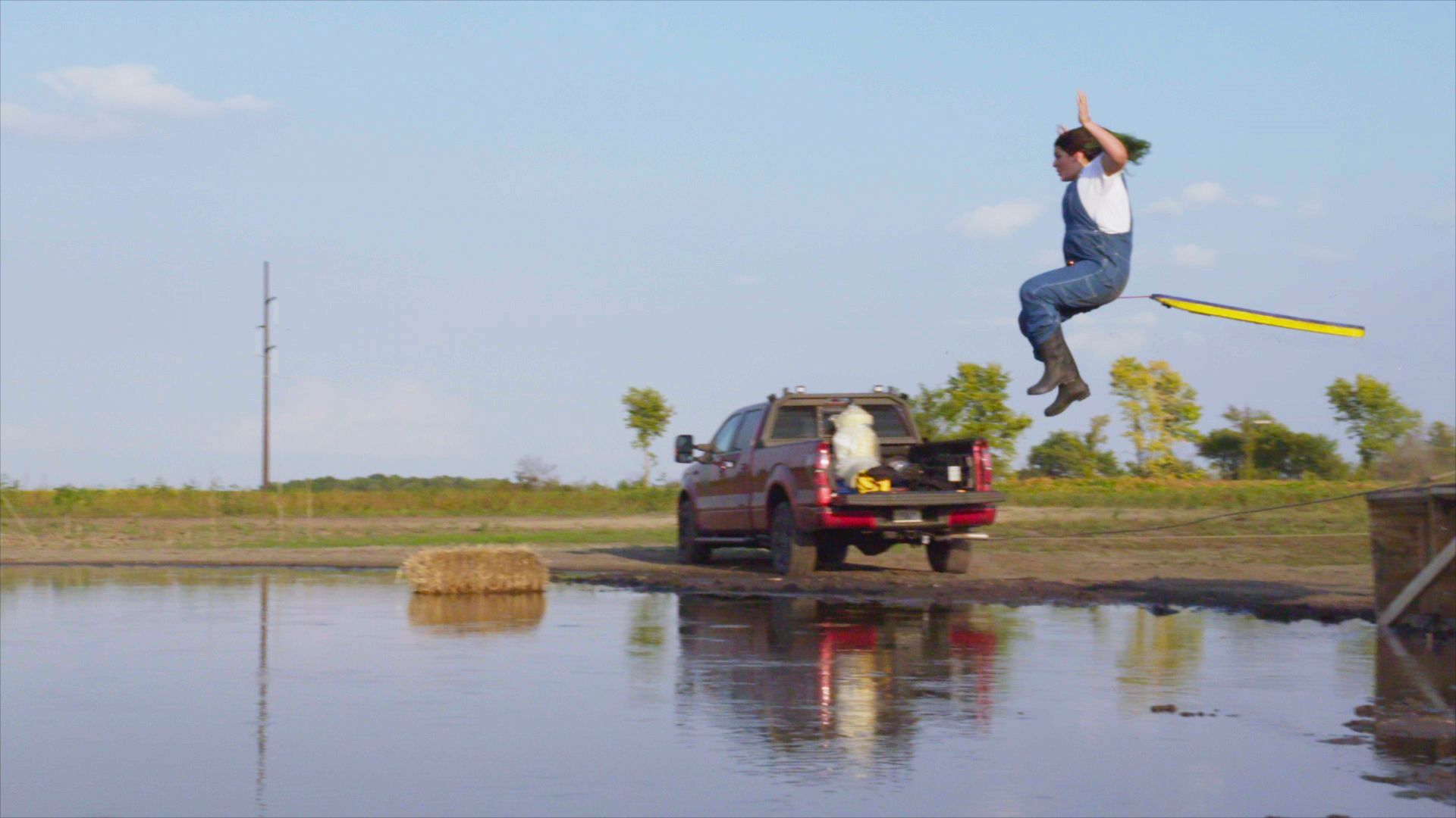 Too Stupid to Die background