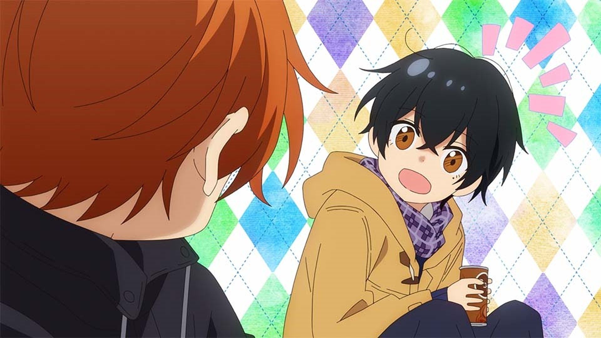 Sasaki and Miyano background