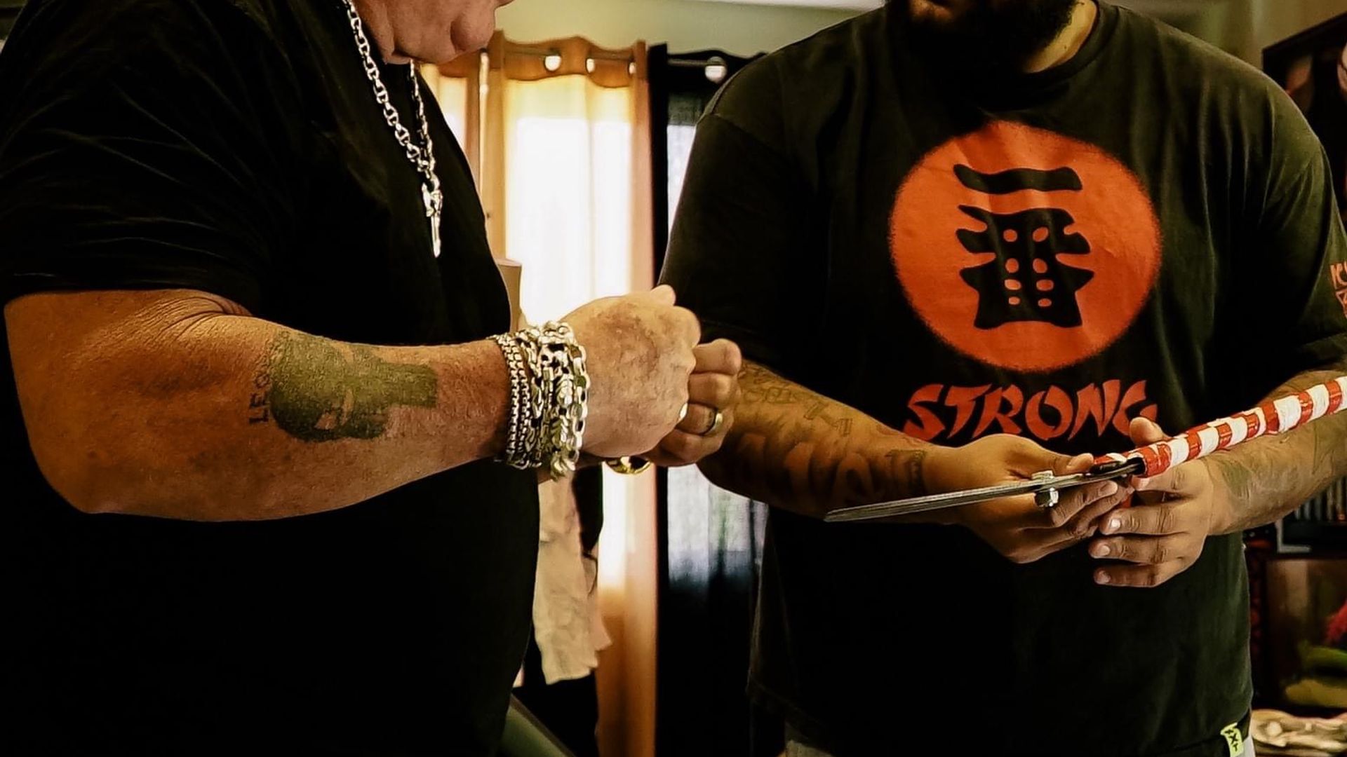 WWE's Most Wanted Treasures background