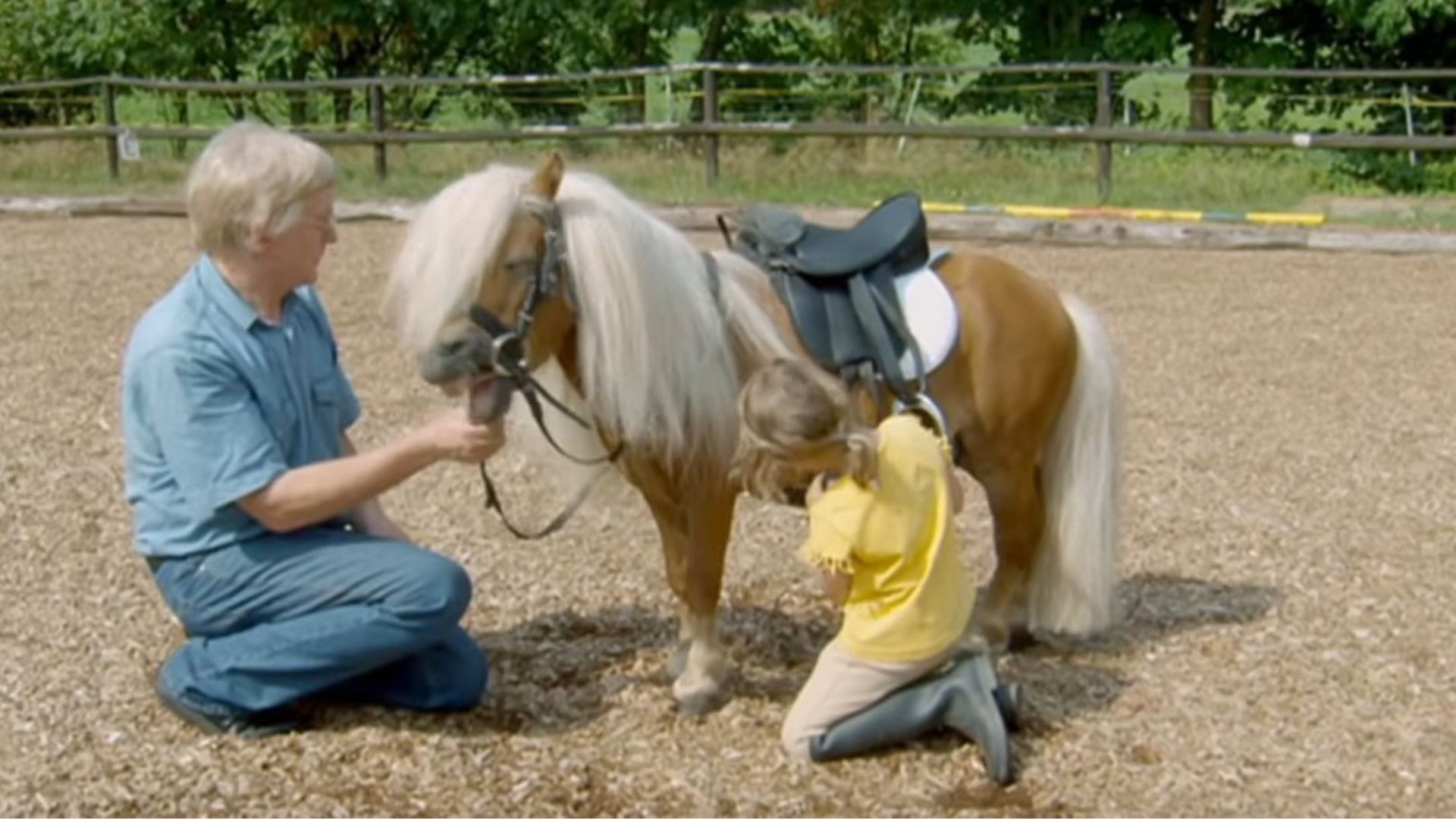 Die Sendung mit dem Elefanten background