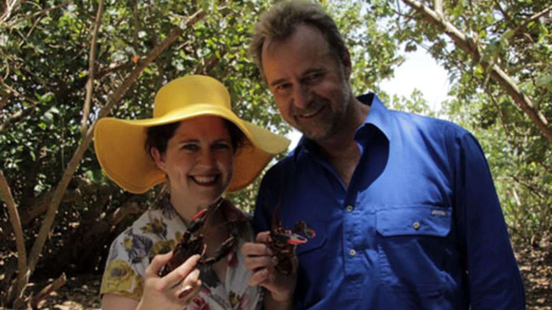 Kitchen Cabinet background