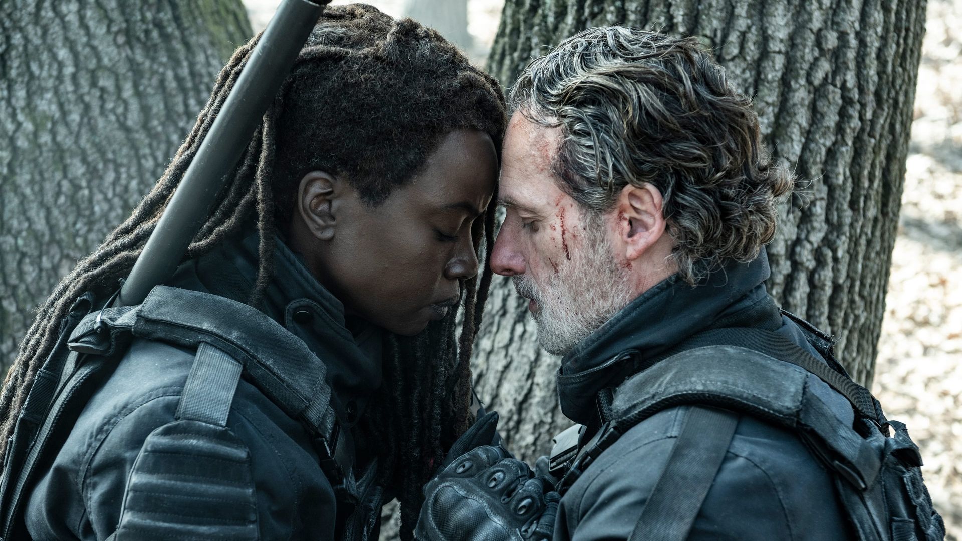 The Walking Dead: The Ones Who Live background