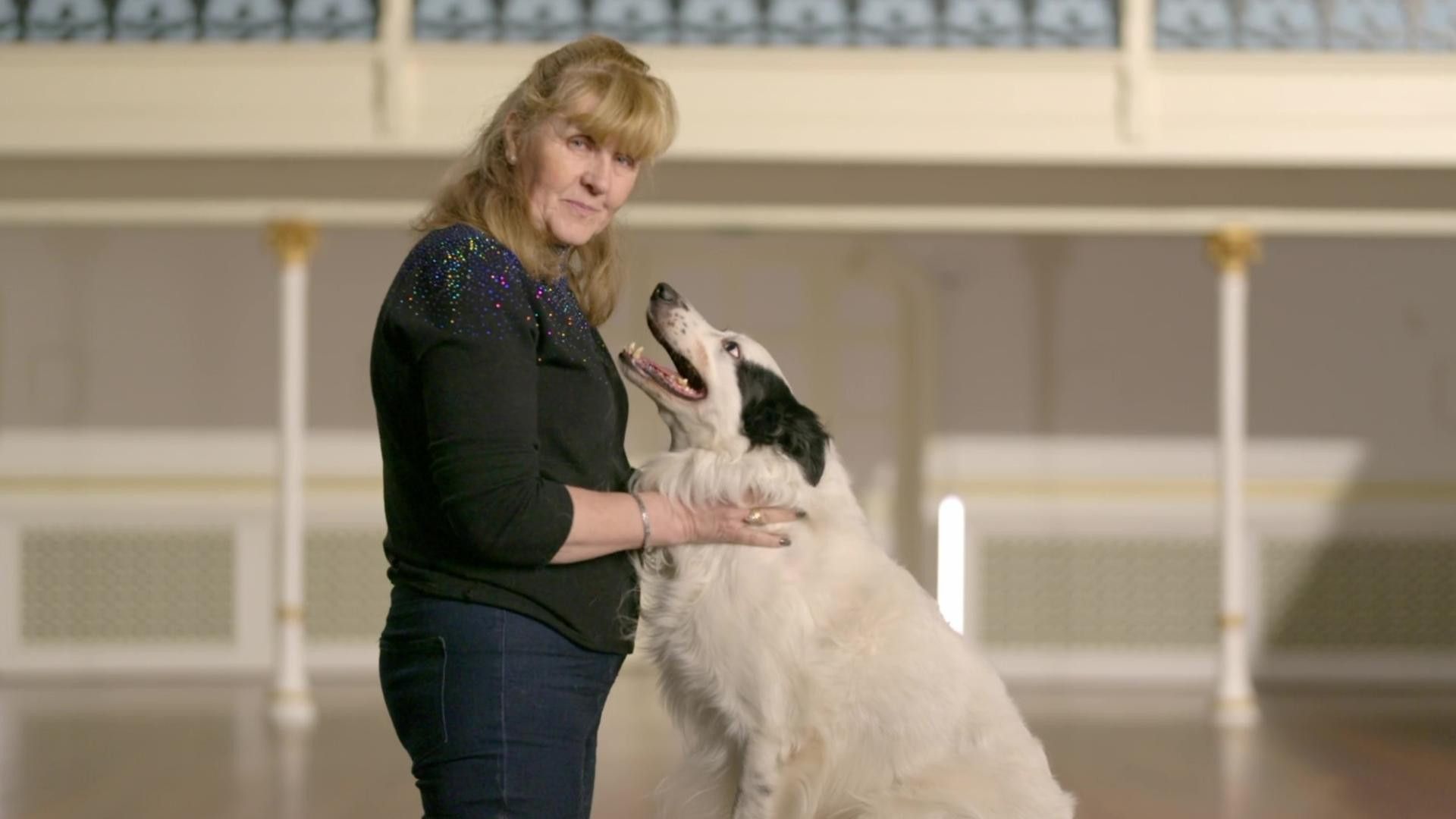 The Secret Life of Dancing Dogs background