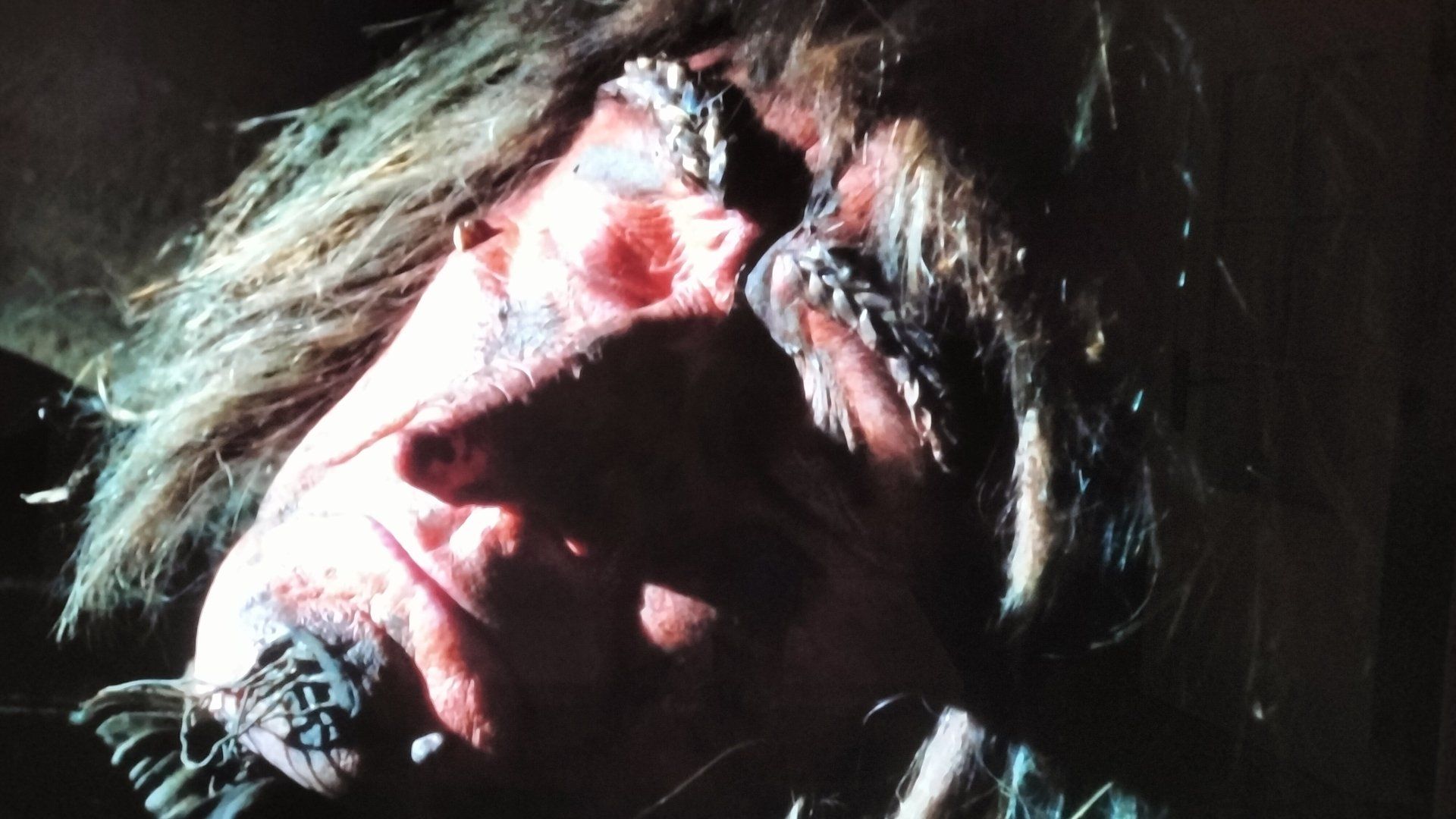 Worzel Gummidge Down Under background