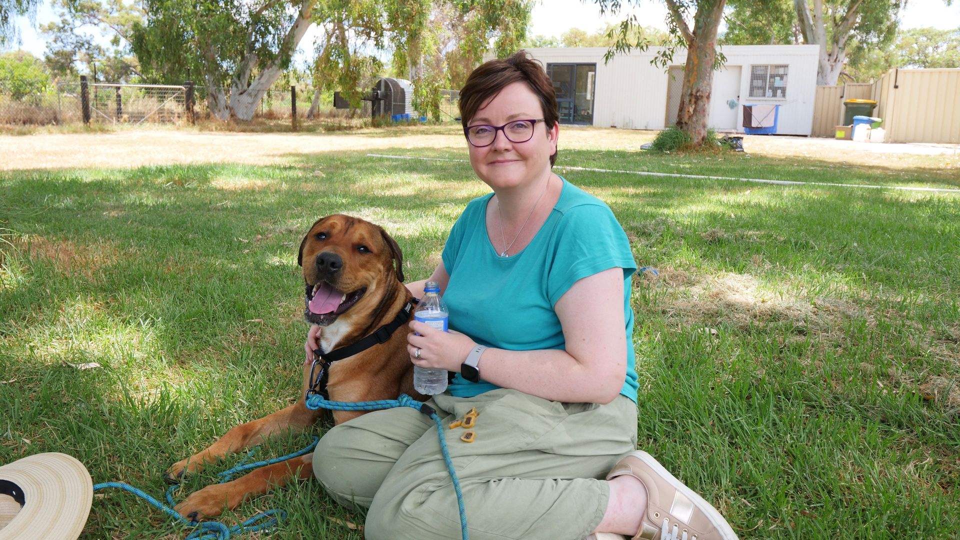 New Leash on Life background